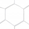FILETS DE FOOT A 11 COMPETITION maille hexagonale 3 mm BLANC